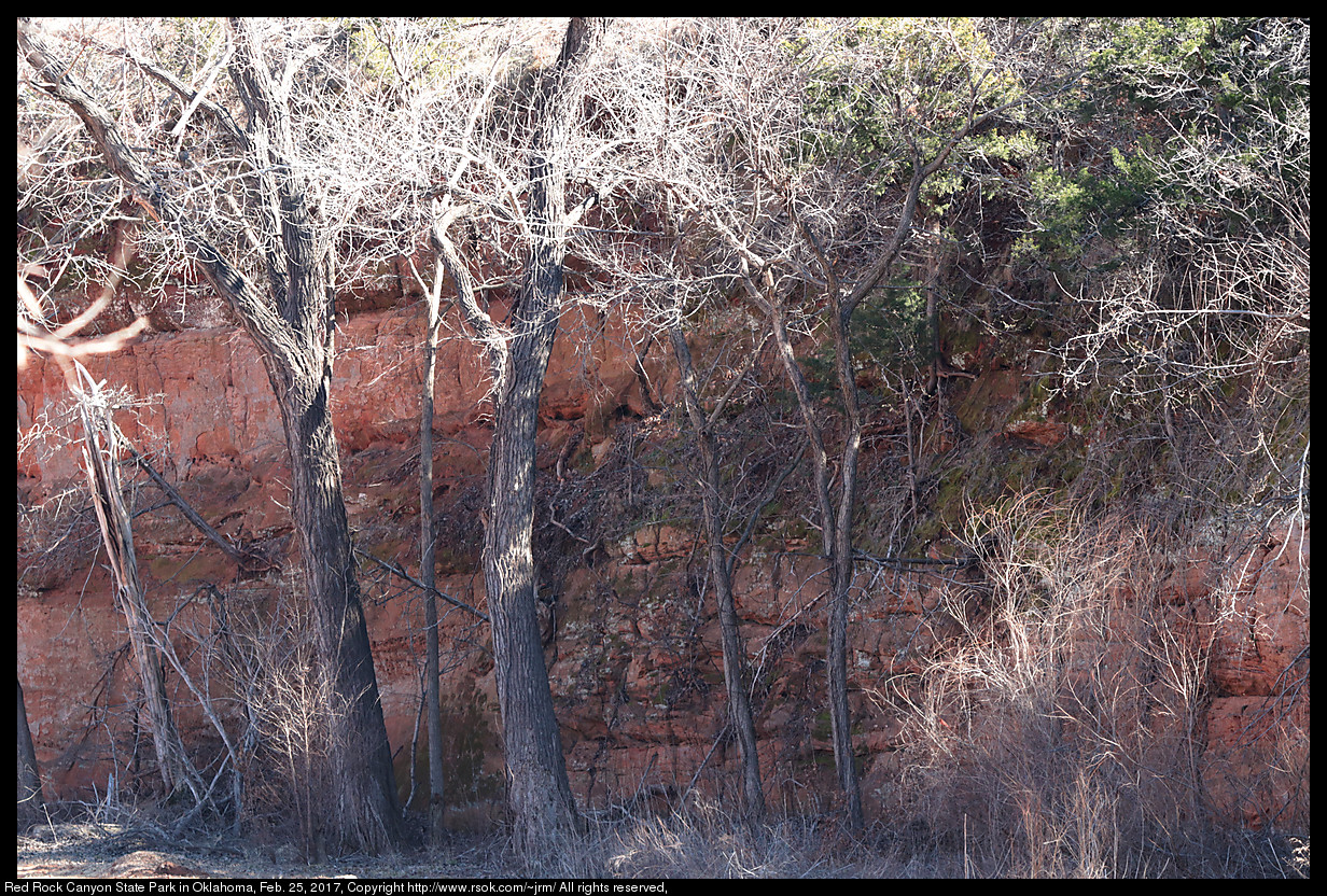 2017feb25_redrock_IMG_1662.jpg