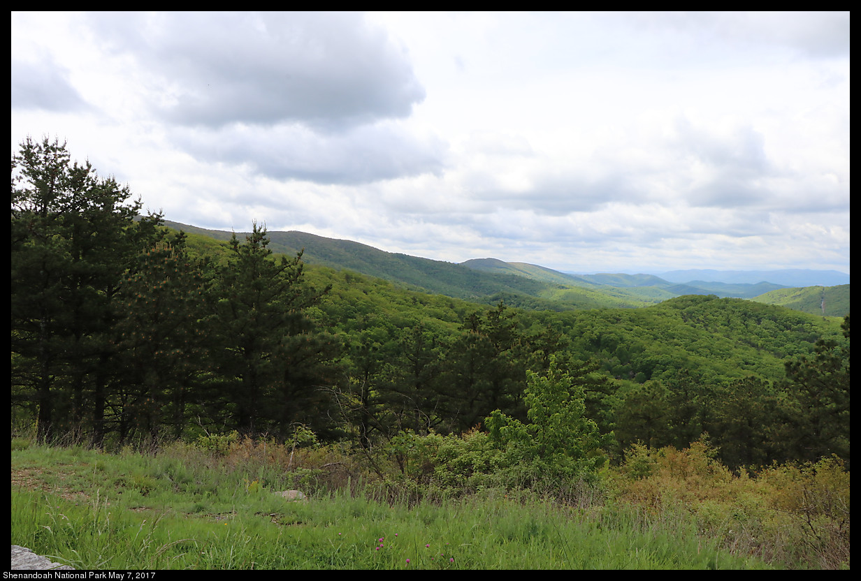 2017May07_Shenandoah_IMG_3283.jpg