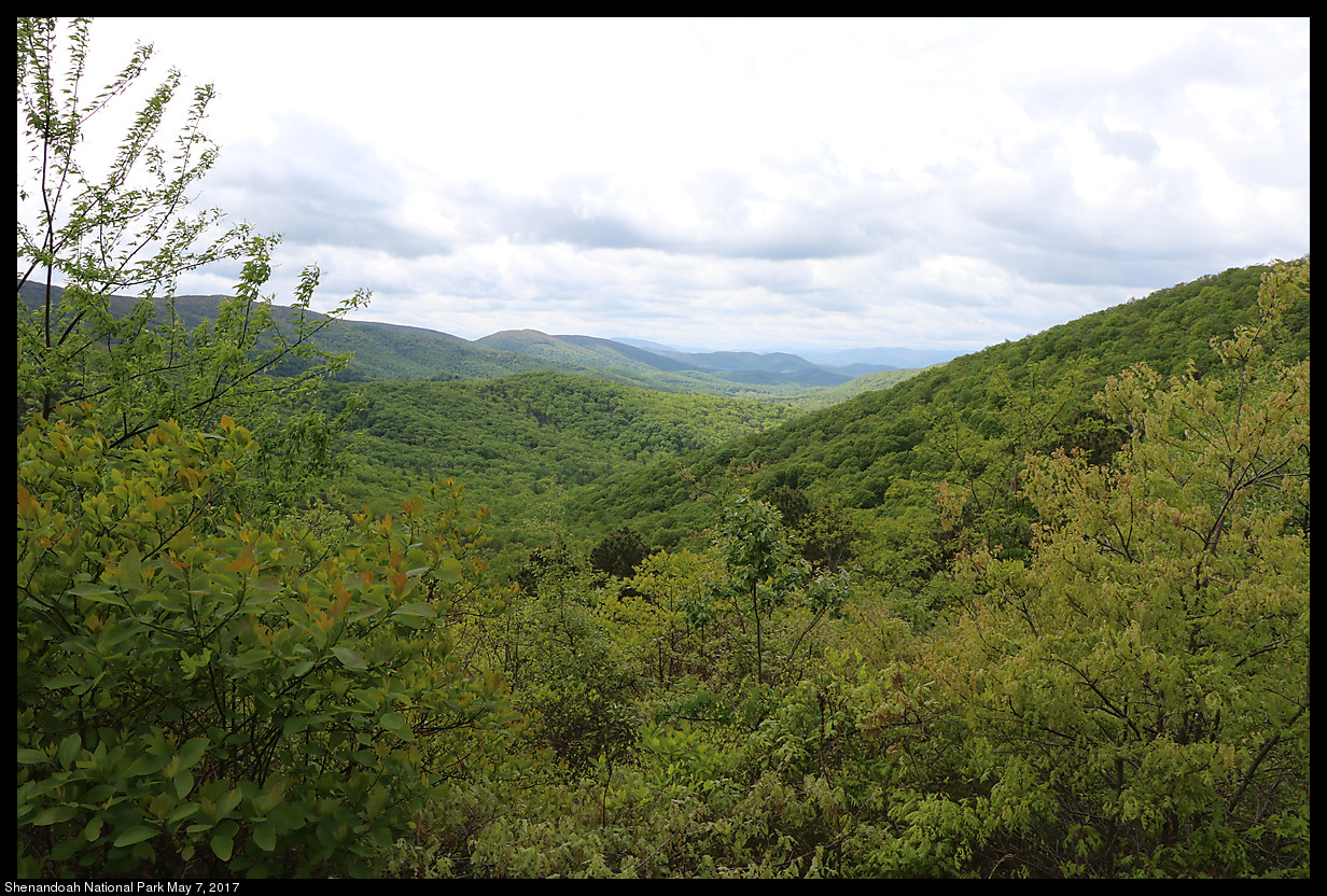 Shenandoah National Park, May 7, 2017