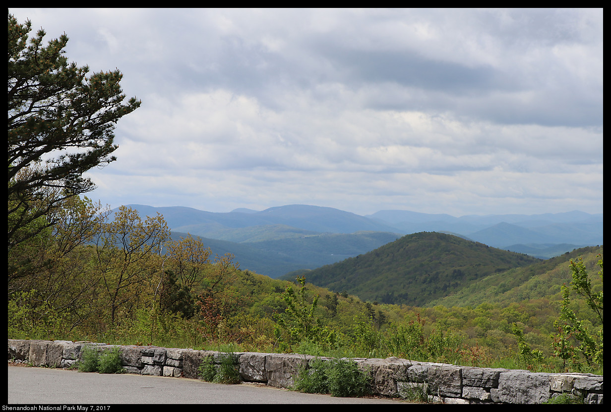 2017May07_Shenandoah_IMG_3291.jpg