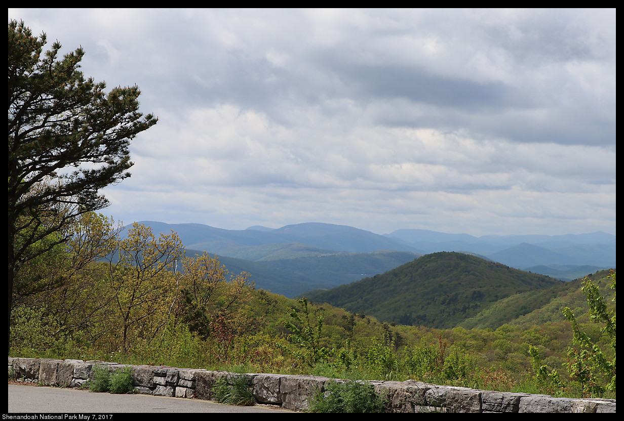 2017May07_Shenandoah_IMG_3292.jpg