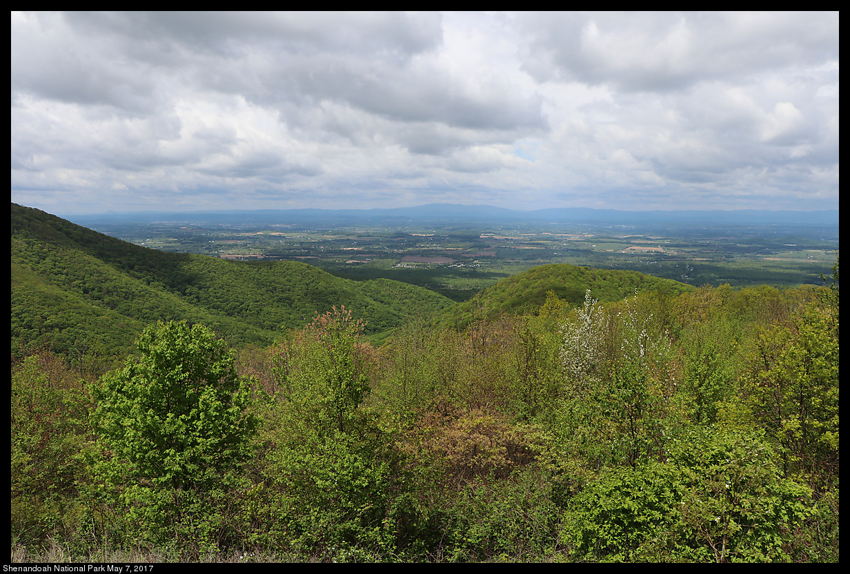 2017May07_Shenandoah_IMG_3297.jpg