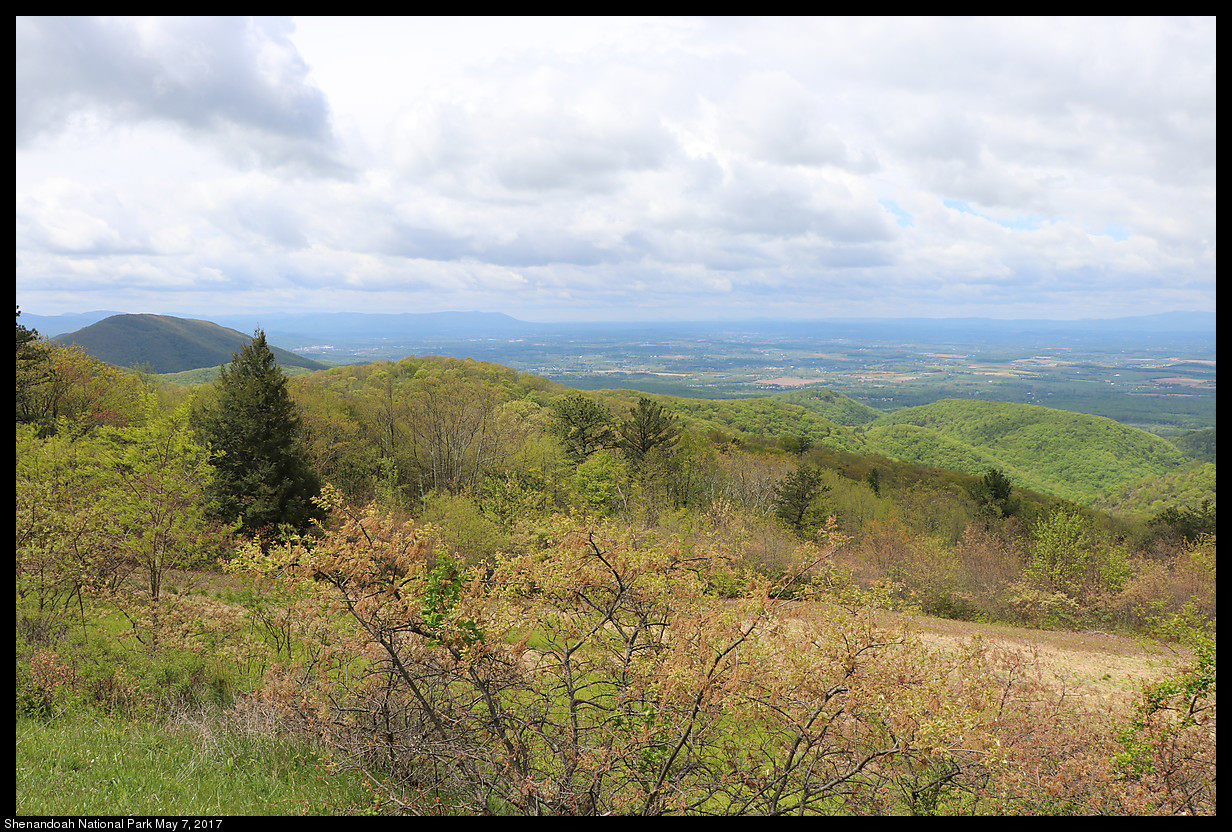 2017May07_Shenandoah_IMG_3306.jpg