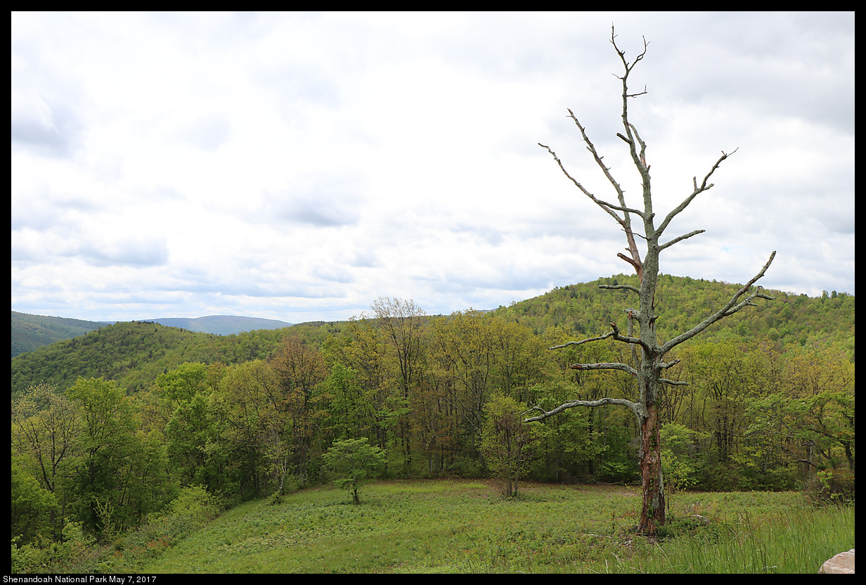 2017May07_Shenandoah_IMG_3321.jpg