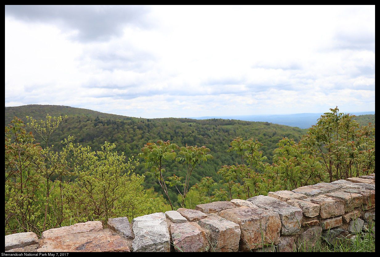 2017May07_Shenandoah_IMG_3329.jpg