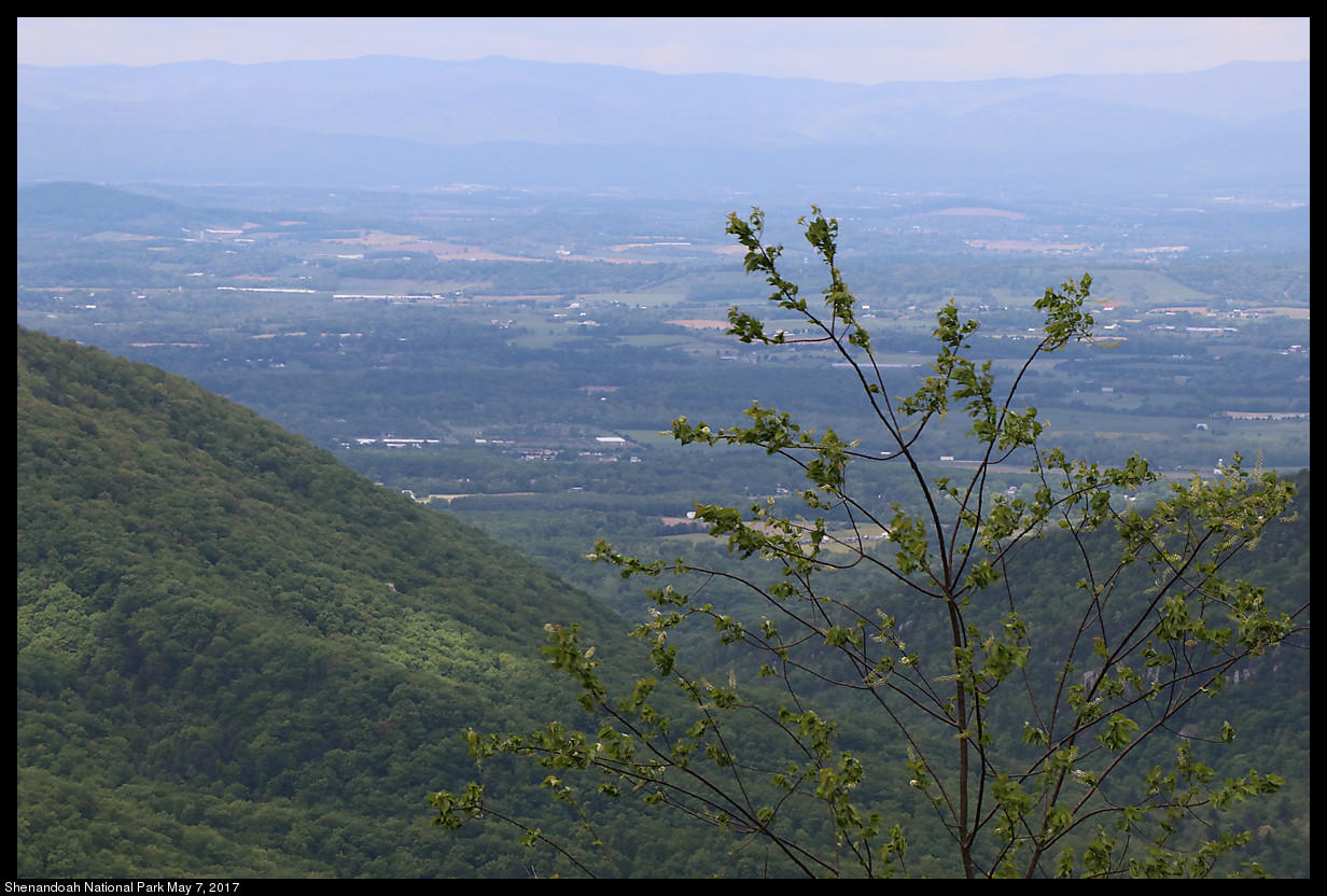 2017May07_Shenandoah_IMG_3333.jpg