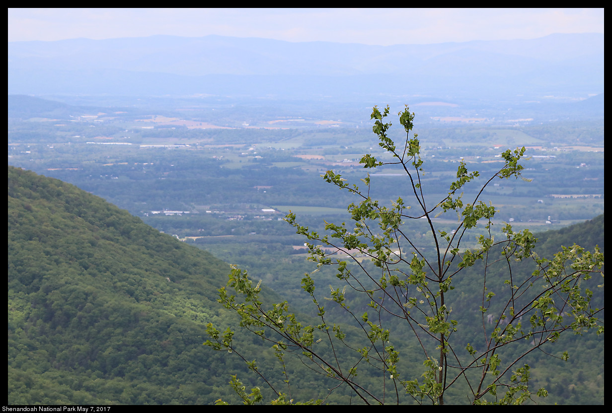 2017May07_Shenandoah_IMG_3334.jpg