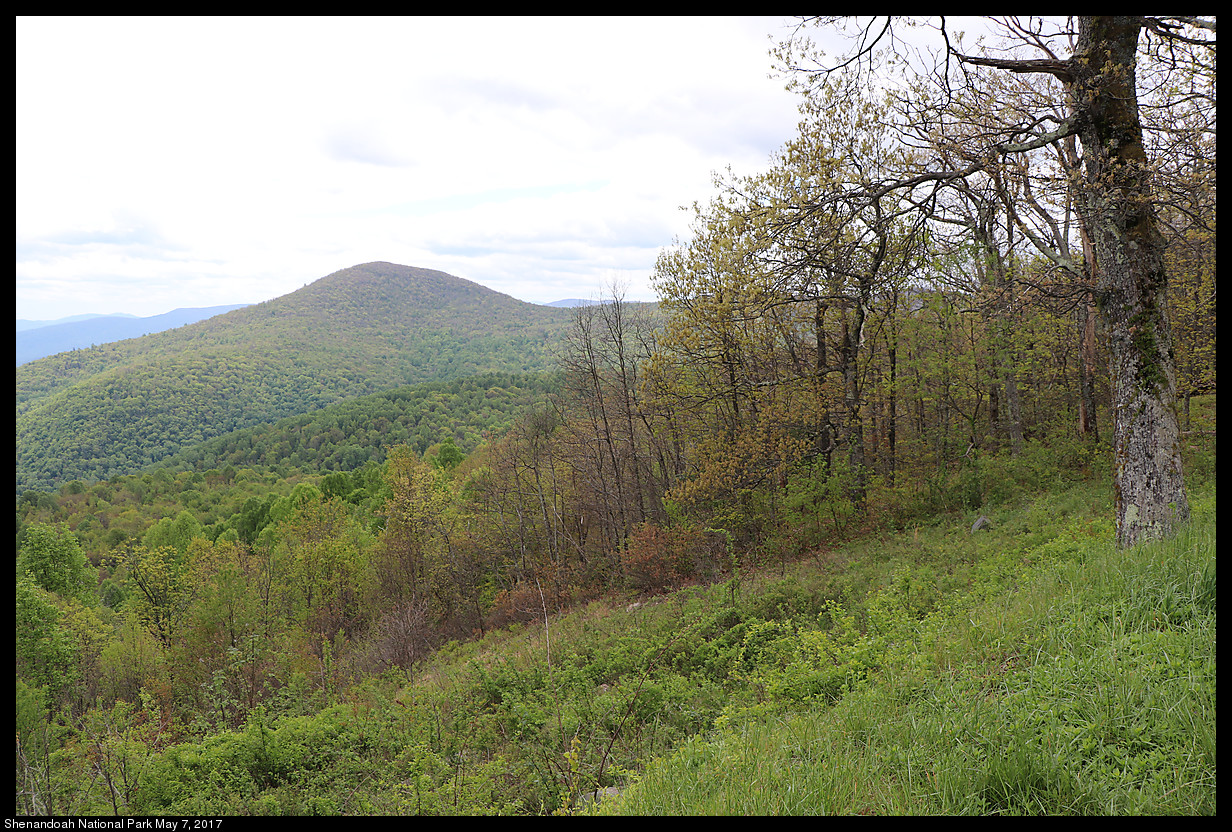 2017May07_Shenandoah_IMG_3342.jpg