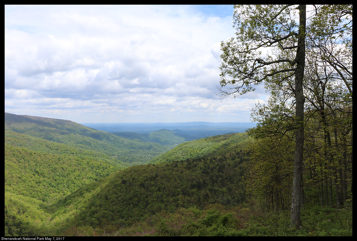 2017May07_Shenandoah_IMG_3355.jpg