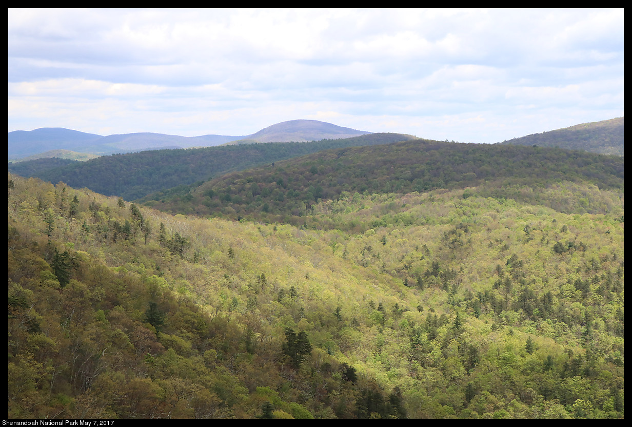 2017May07_Shenandoah_IMG_3356.jpg