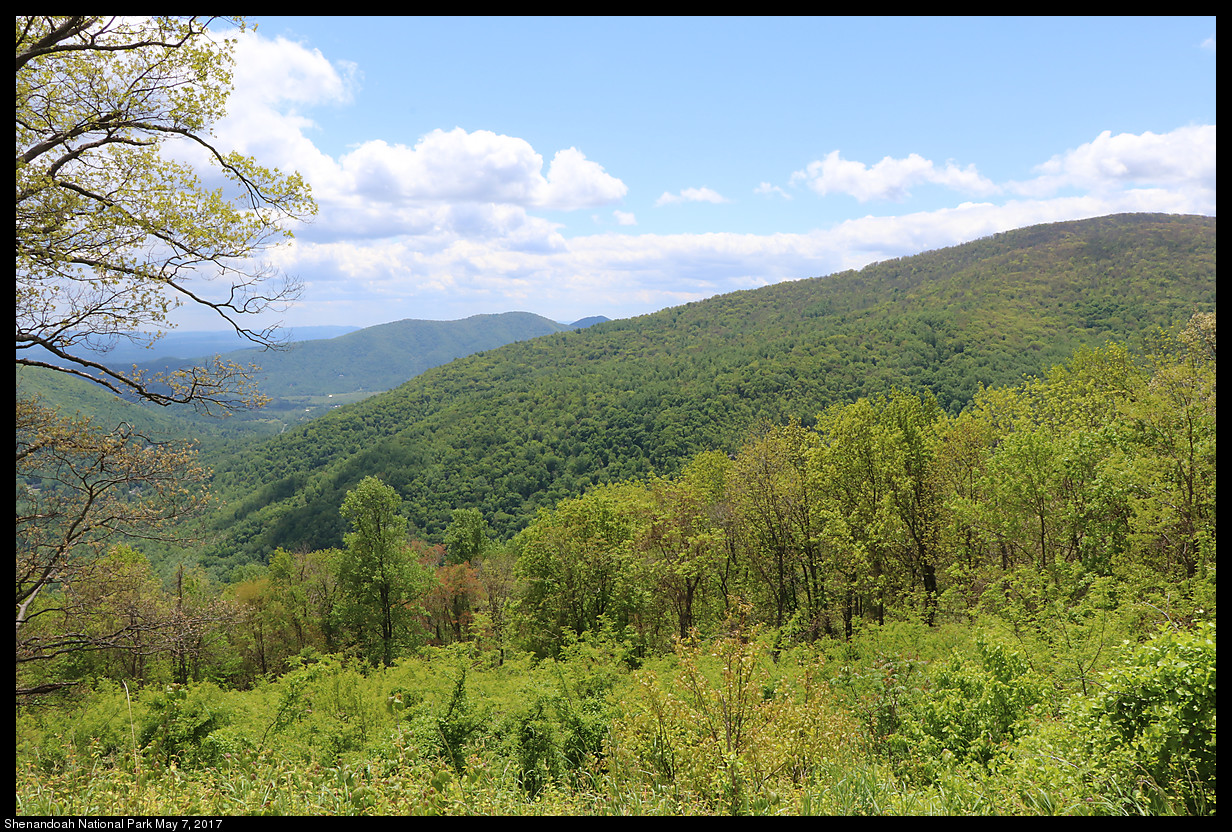 2017May07_Shenandoah_IMG_3383.jpg