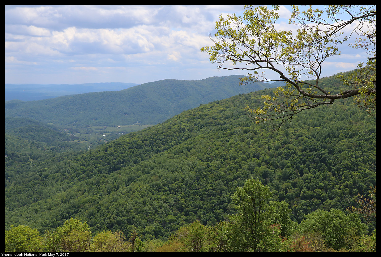 2017May07_Shenandoah_IMG_3388.jpg