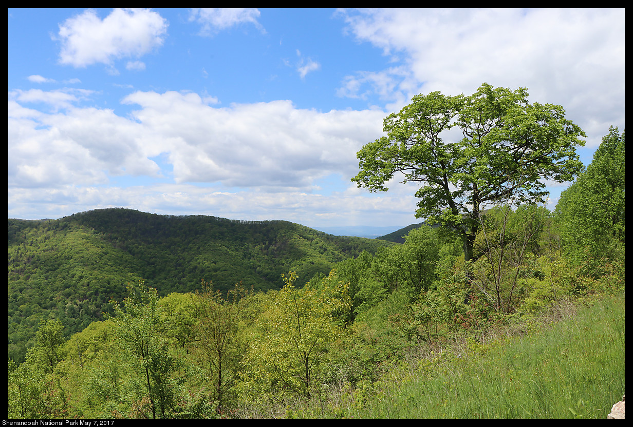 2017May07_Shenandoah_IMG_3391.jpg