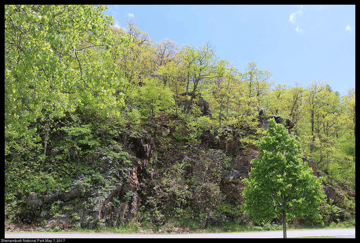 2017May07_Shenandoah_IMG_3405.jpg