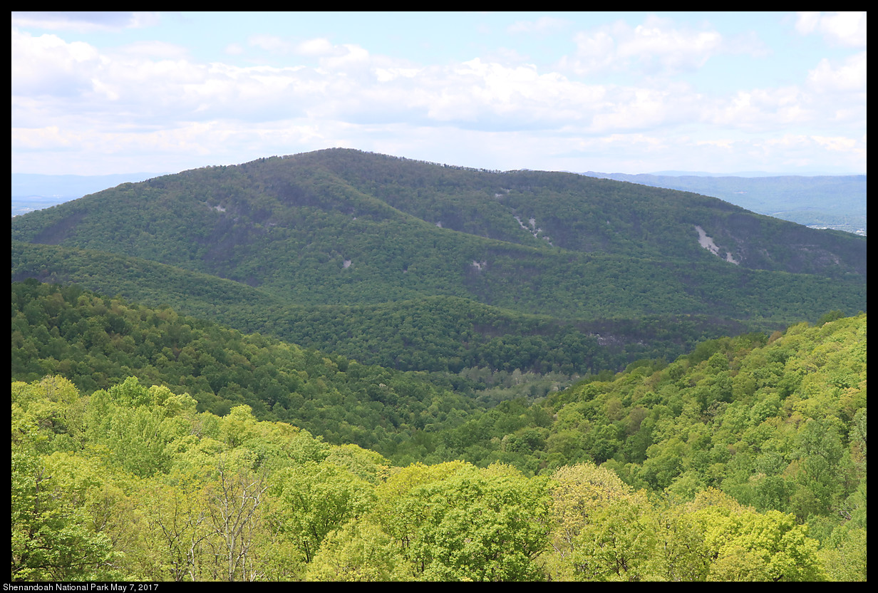 2017May07_Shenandoah_IMG_3409.jpg