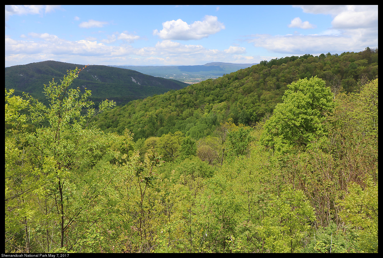 2017May07_Shenandoah_IMG_3411.jpg