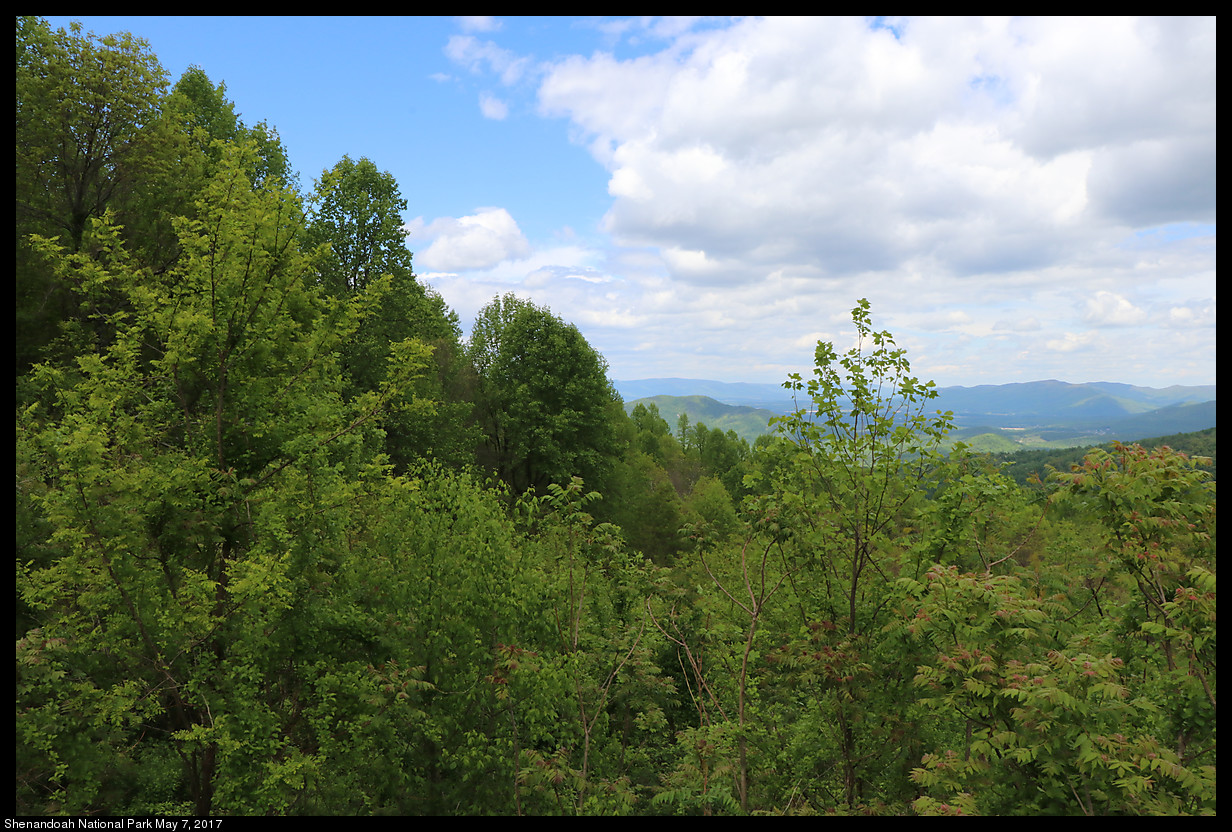 2017May07_Shenandoah_IMG_3419.jpg