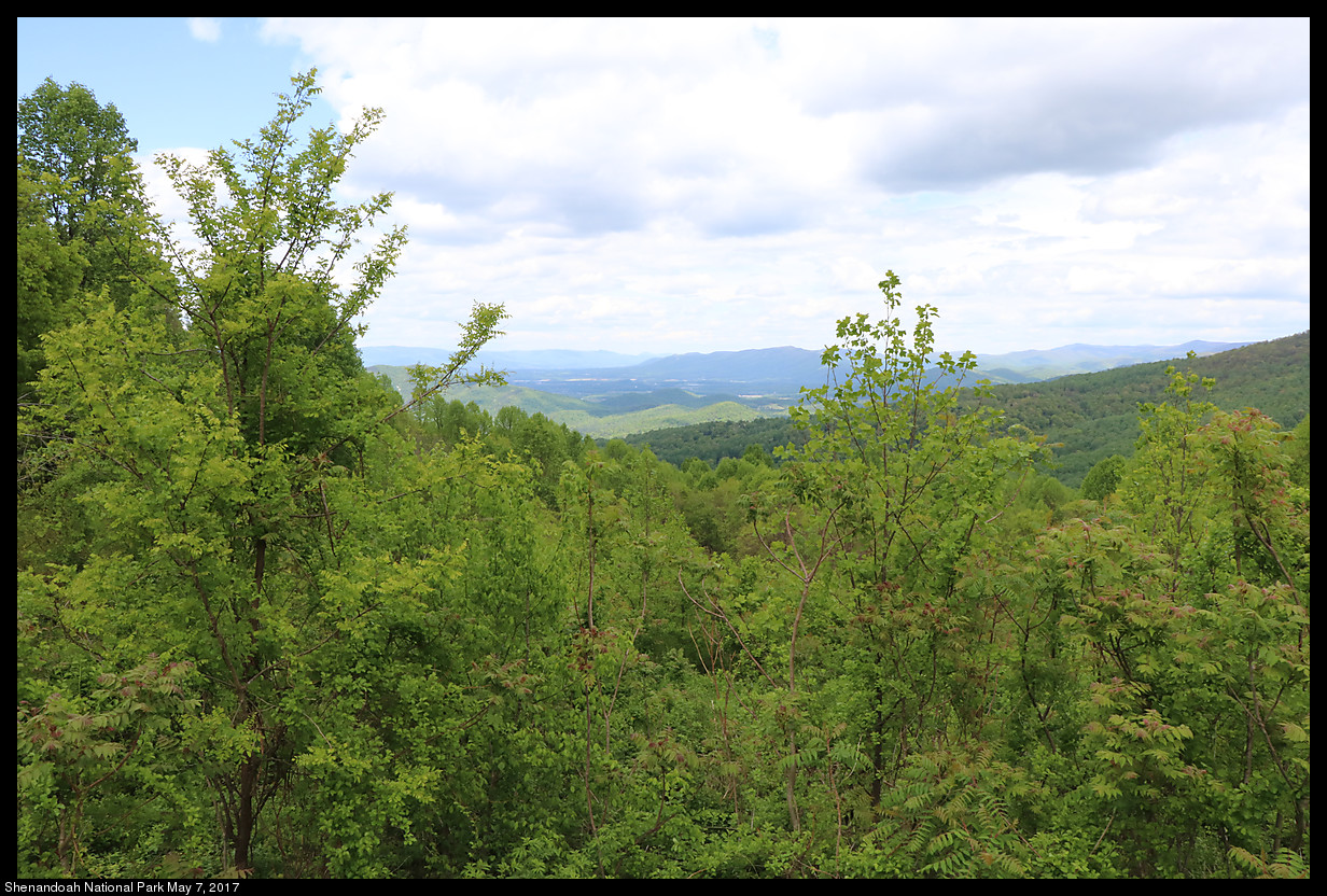 2017May07_Shenandoah_IMG_3421.jpg