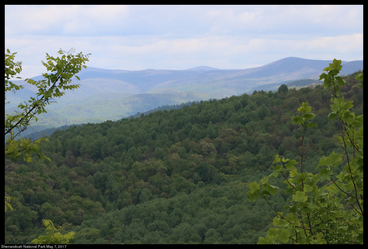 2017May07_Shenandoah_IMG_3422.jpg