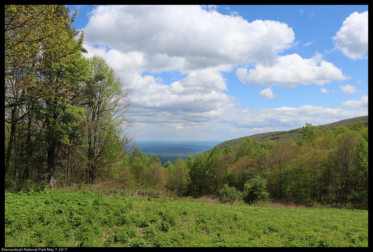 2017May07_Shenandoah_IMG_3445.jpg