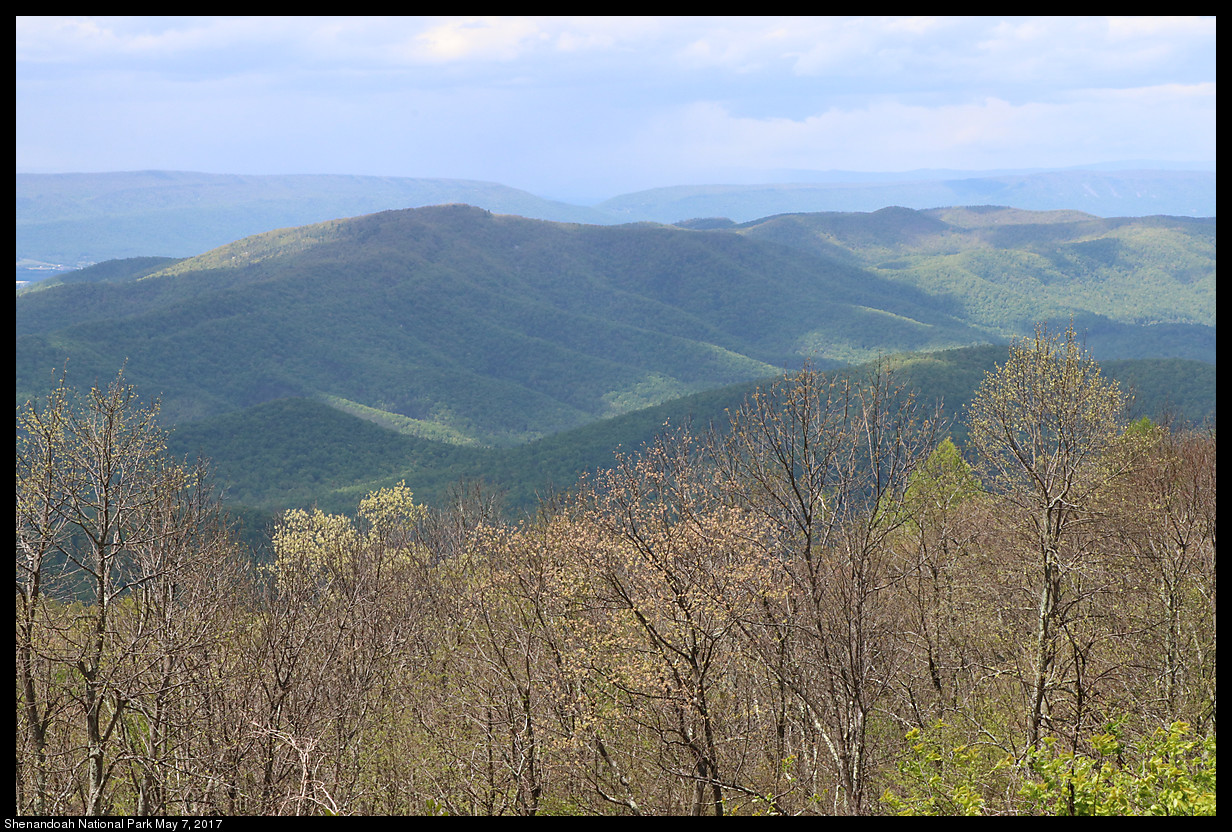 2017May07_Shenandoah_IMG_3460.jpg