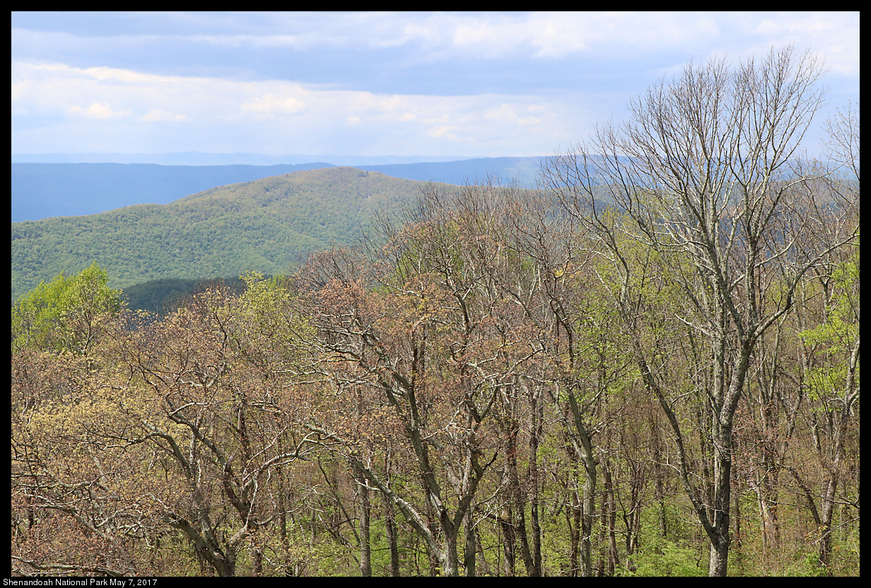 2017May07_Shenandoah_IMG_3462.jpg