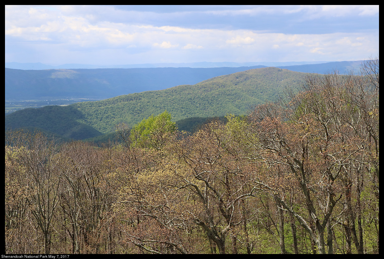 2017May07_Shenandoah_IMG_3463.jpg