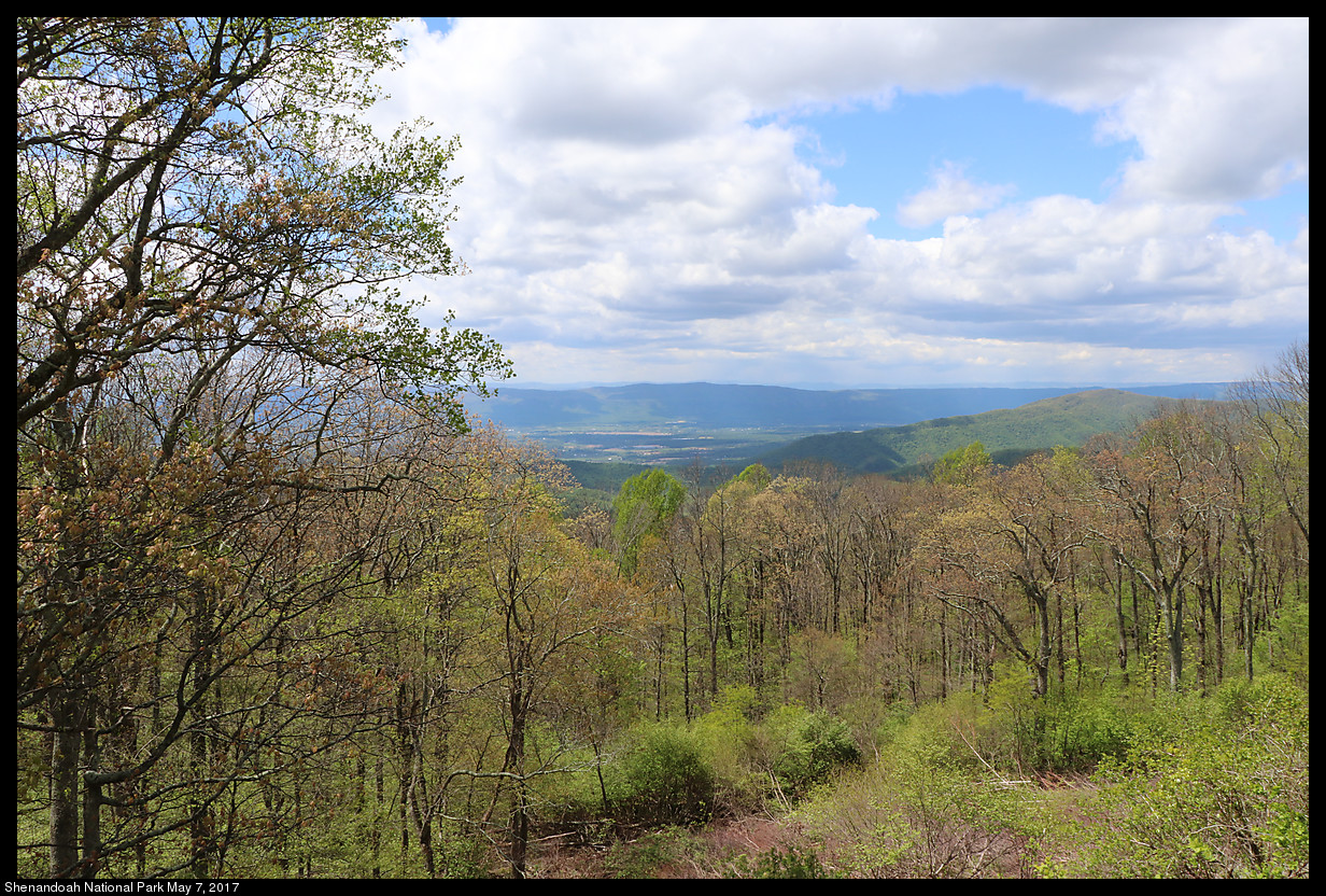 2017May07_Shenandoah_IMG_3465.jpg