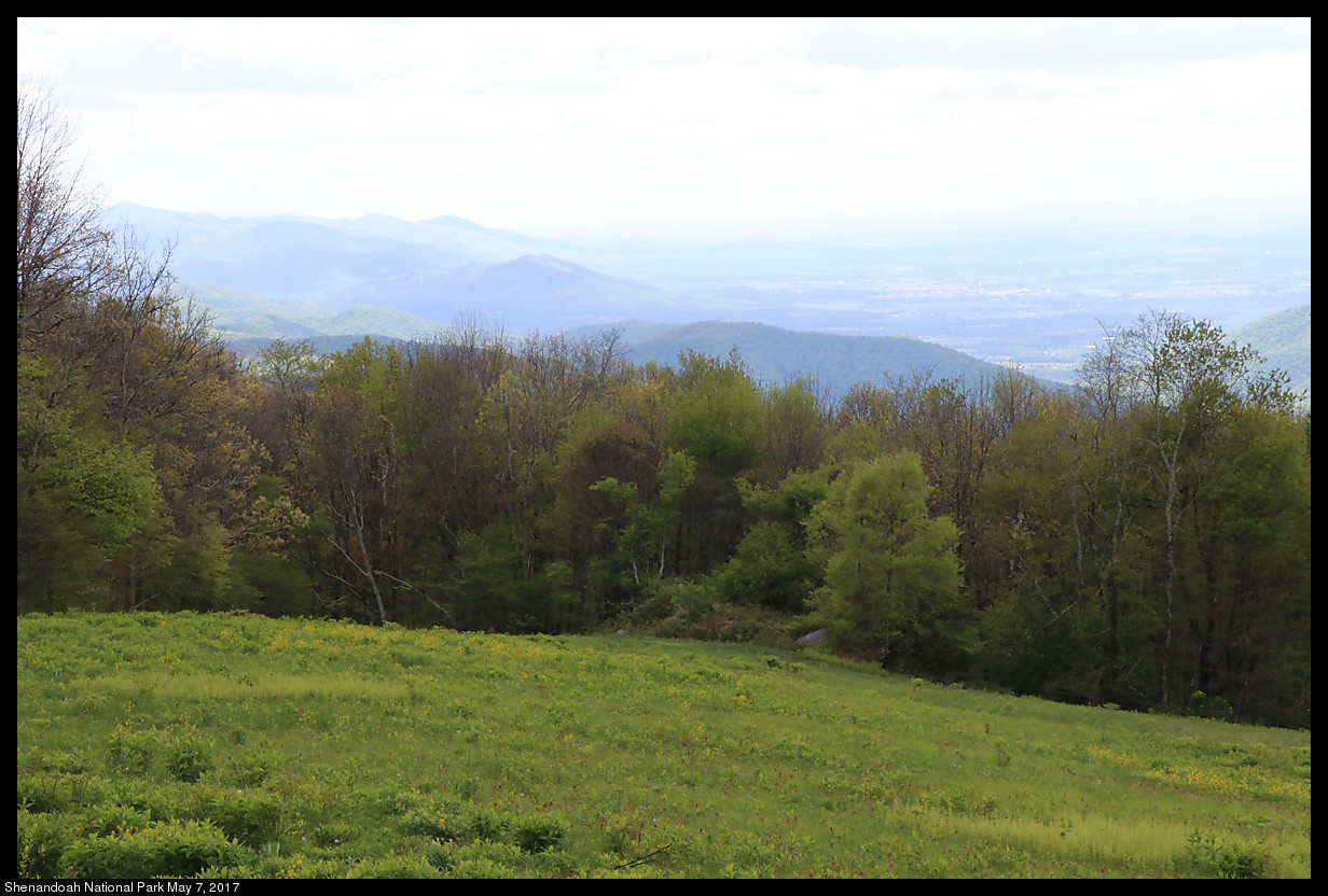 2017May07_Shenandoah_IMG_3471.jpg