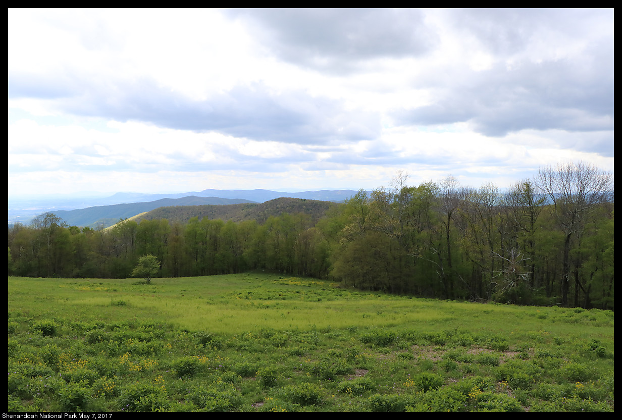 2017May07_Shenandoah_IMG_3474.jpg