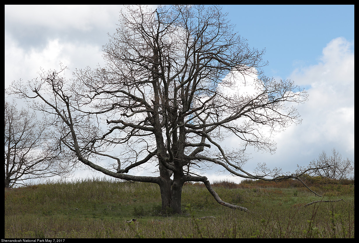 2017May07_Shenandoah_IMG_3476.jpg