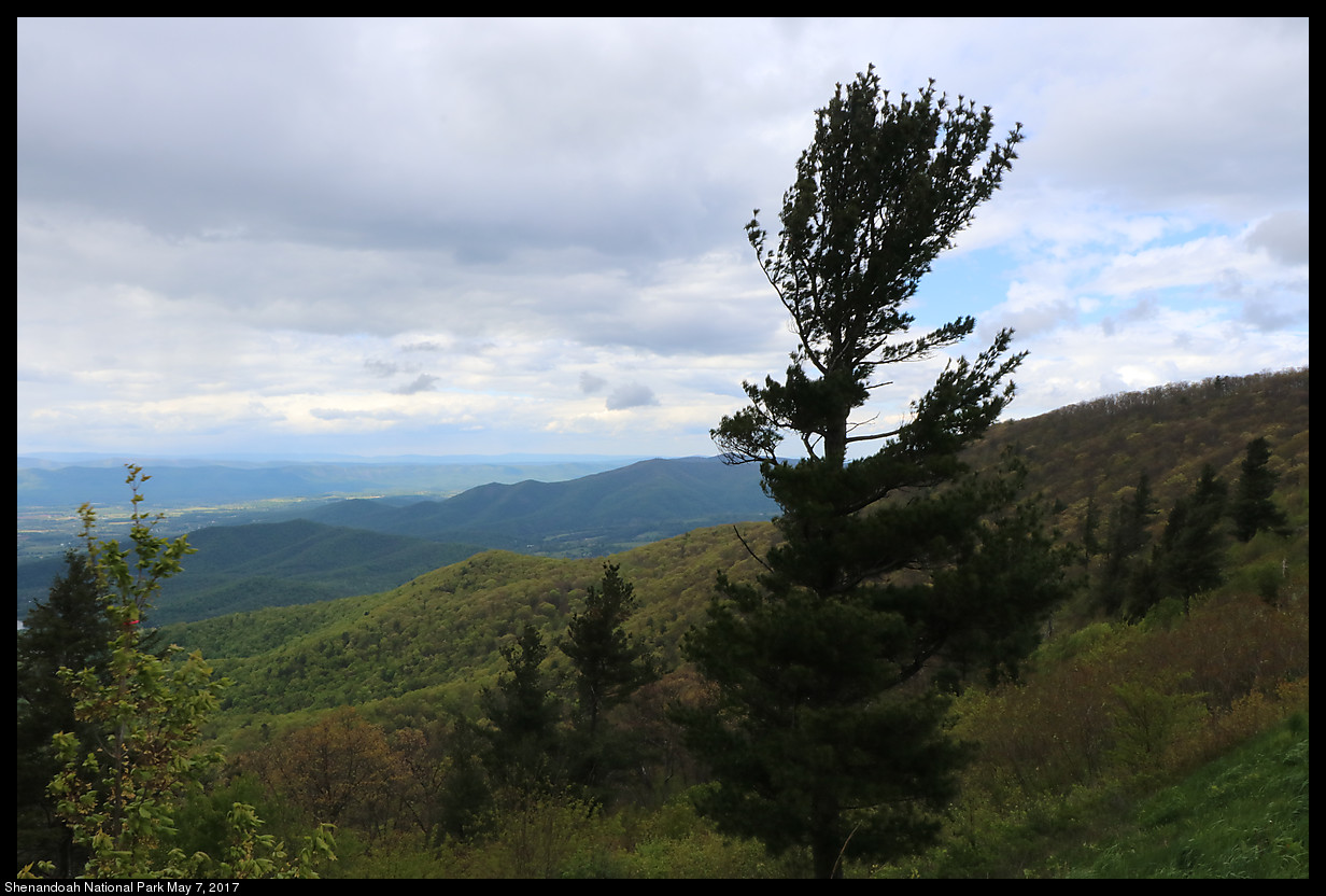 2017May07_Shenandoah_IMG_3521.jpg