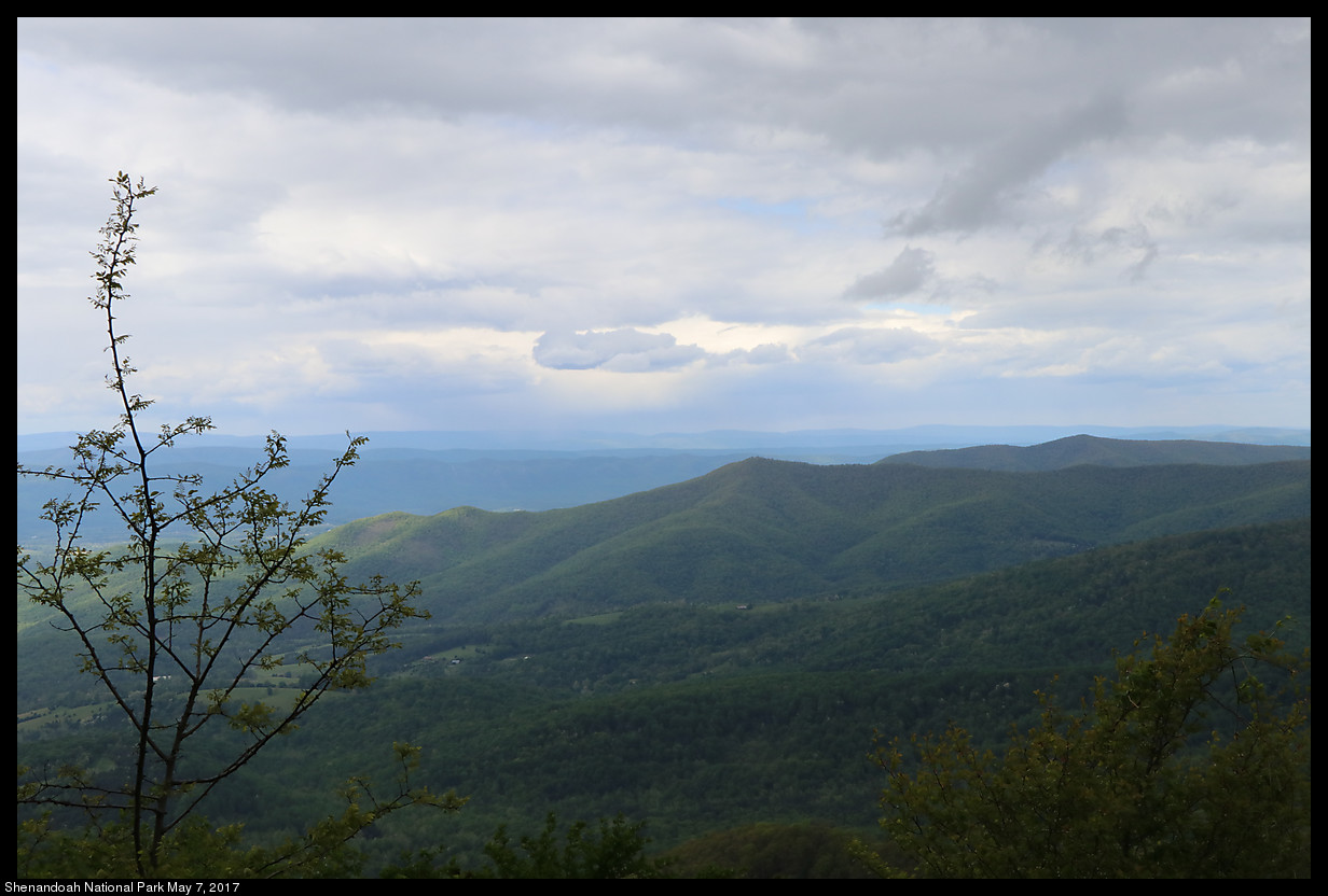 2017May07_Shenandoah_IMG_3524.jpg