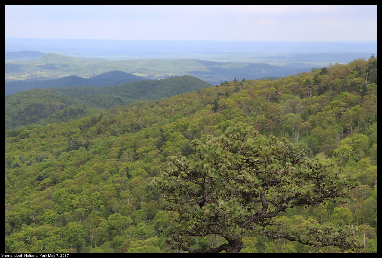 2017May07_Shenandoah_IMG_3527.jpg