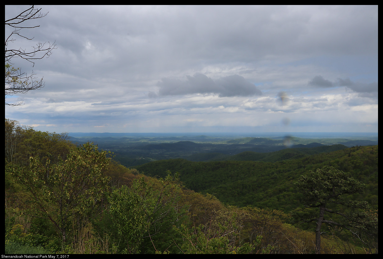 2017May07_Shenandoah_IMG_3528.jpg