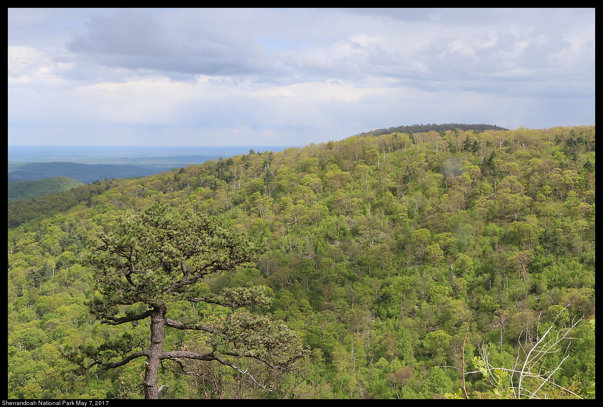 2017May07_Shenandoah_IMG_3534.jpg