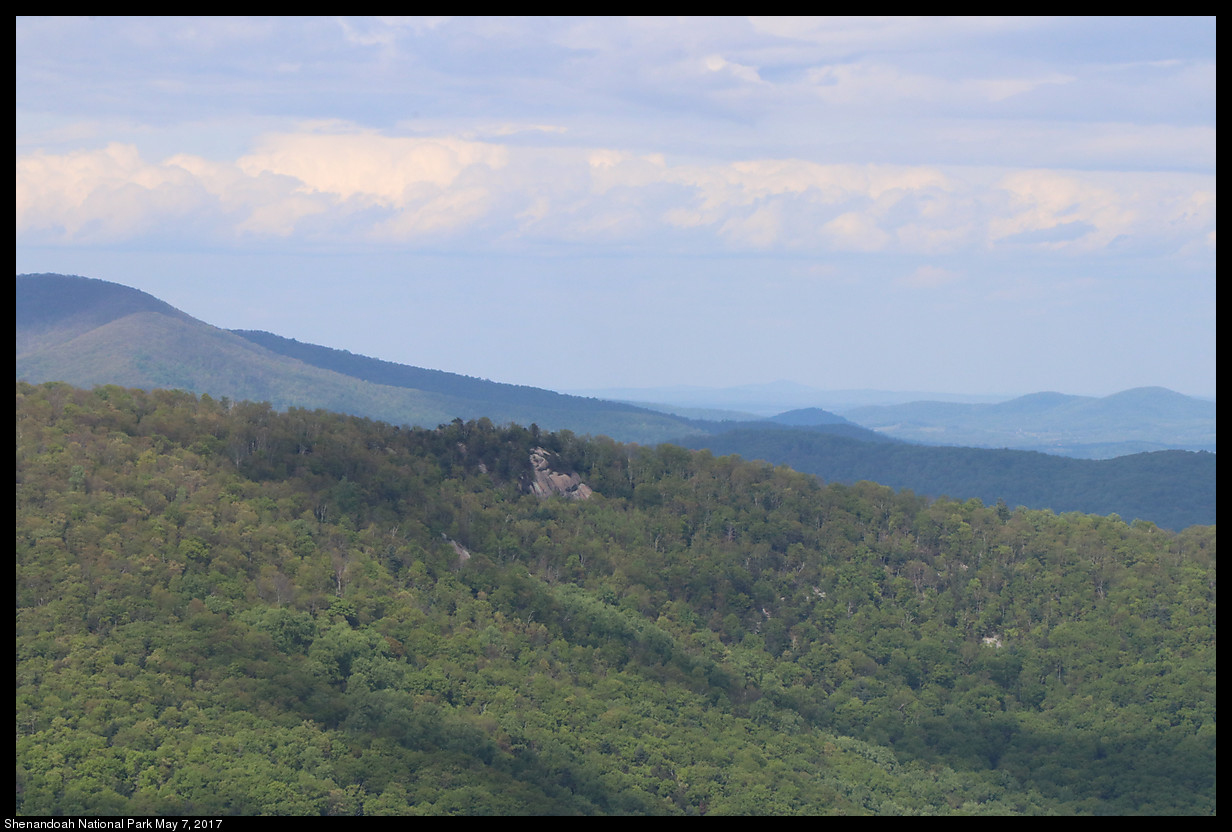 2017May07_Shenandoah_IMG_3537.jpg