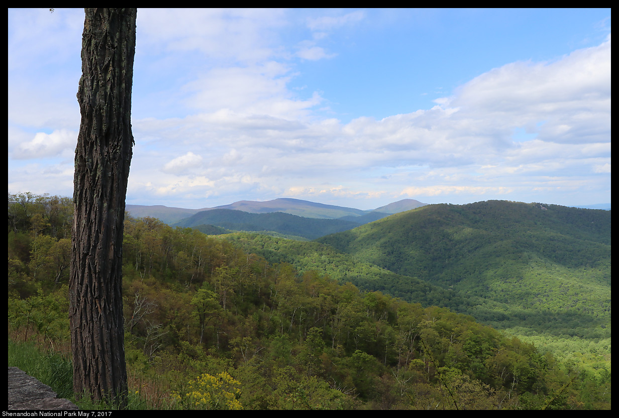 2017May07_Shenandoah_IMG_3544.jpg