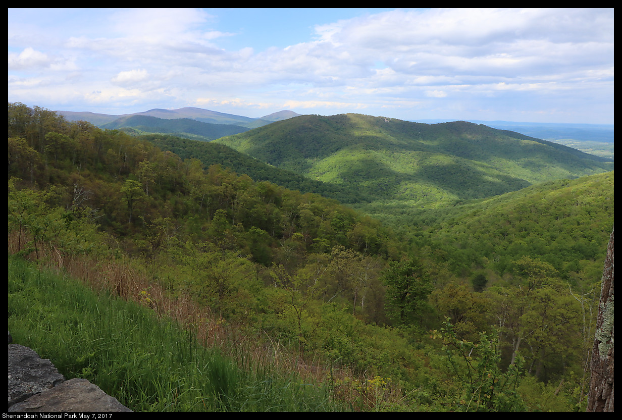 2017May07_Shenandoah_IMG_3548.jpg