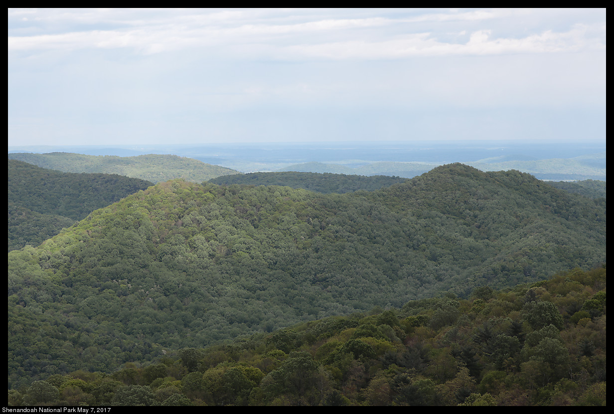 2017May07_Shenandoah_IMG_3549.jpg