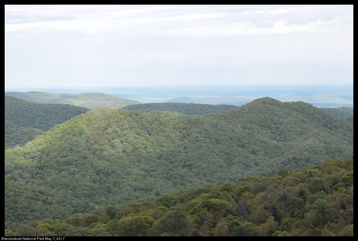 2017May07_Shenandoah_IMG_3550.jpg