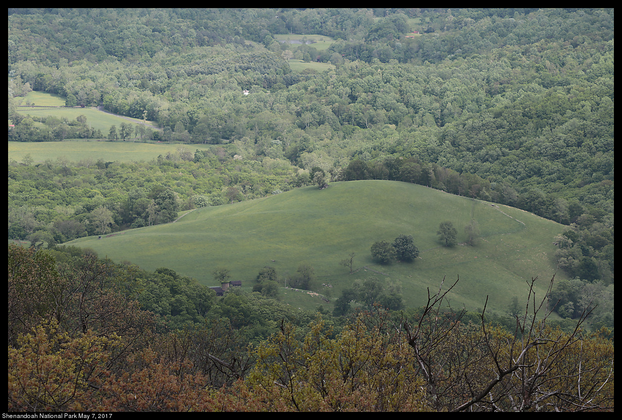 2017May07_Shenandoah_IMG_3555.jpg