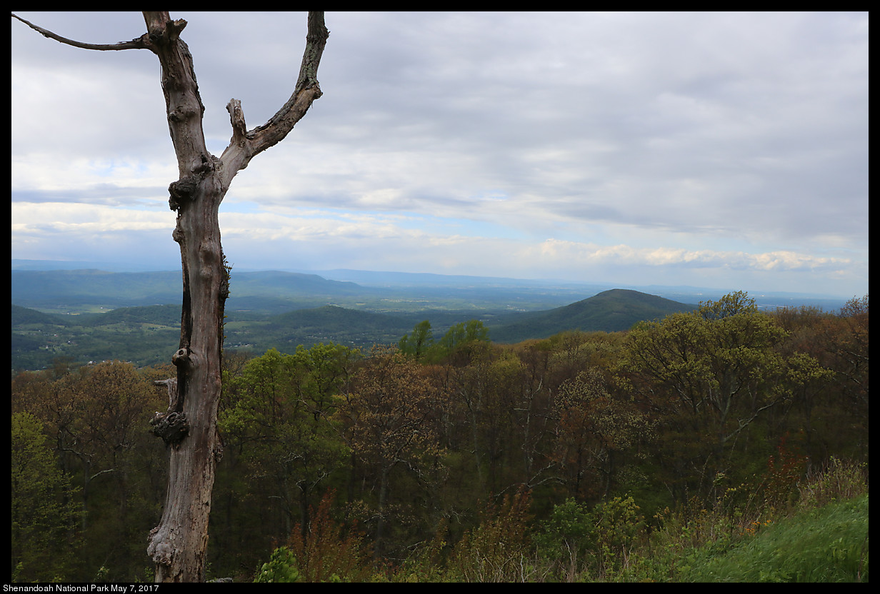 2017May07_Shenandoah_IMG_3563.jpg