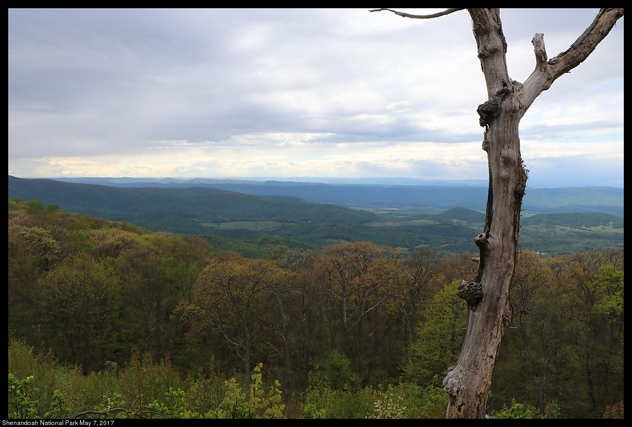 2017May07_Shenandoah_IMG_3567.jpg