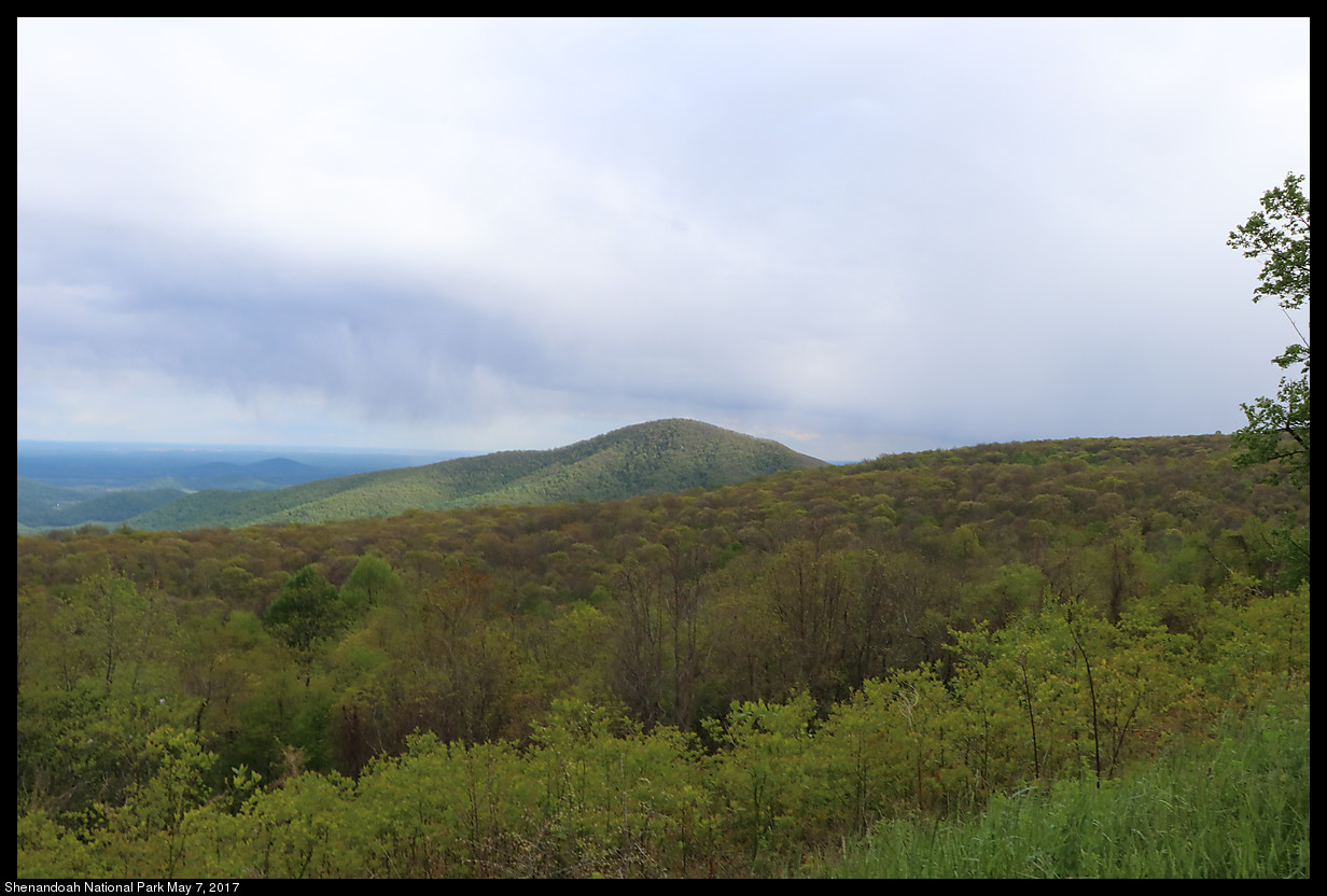 2017May07_Shenandoah_IMG_3571.jpg