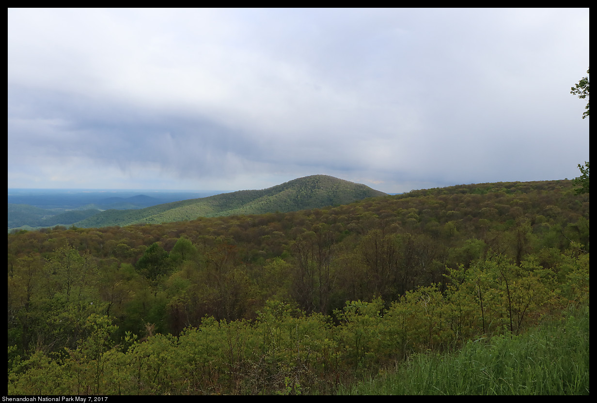 2017May07_Shenandoah_IMG_3572.jpg