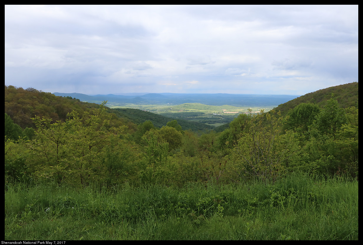 2017May07_Shenandoah_IMG_3573.jpg