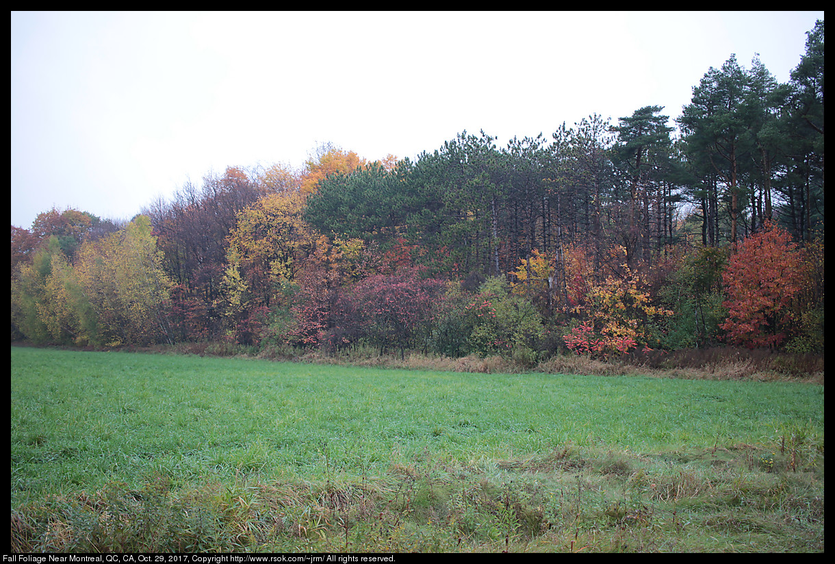 2017oct29_quebec_IMG_6750.jpg