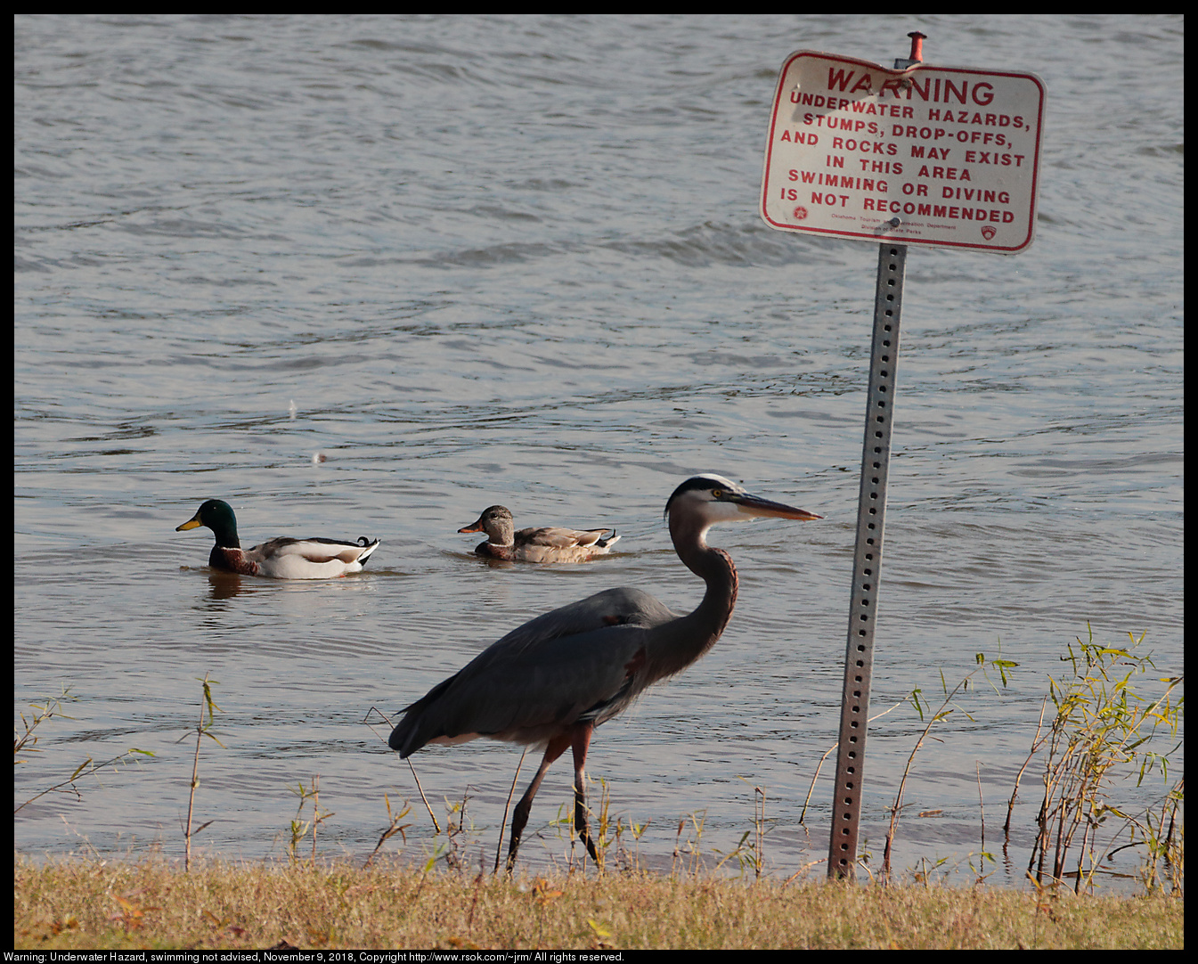 Warning: Underwater Hazard, swimming not advised, November 9, 2018