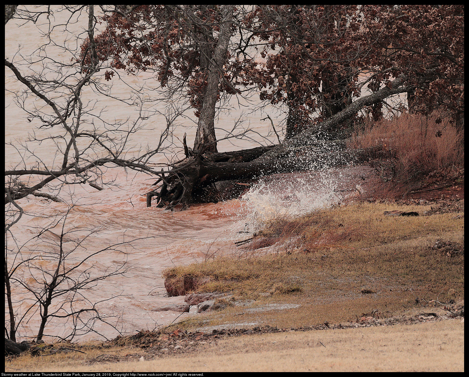 Stormy weather at Lake Thunderbird State Park, January 28, 2019